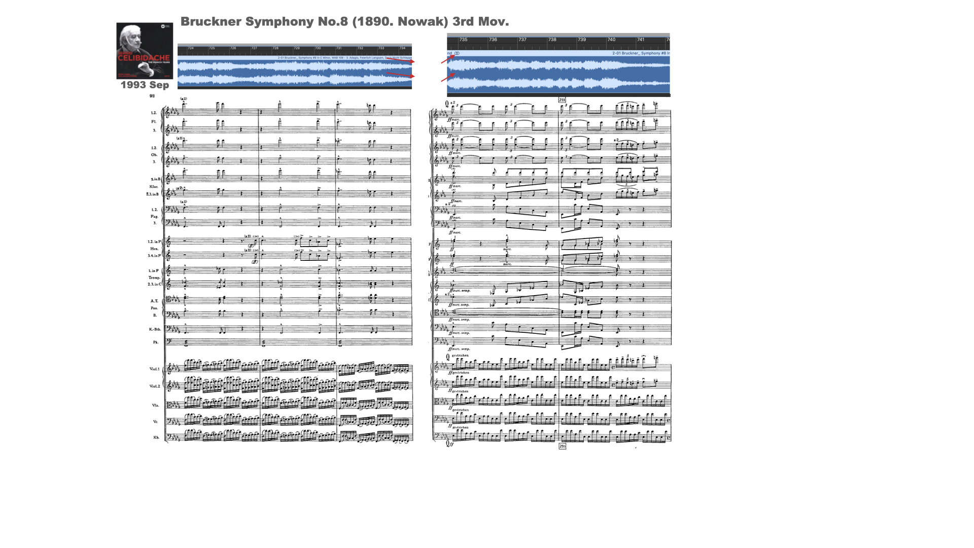 ブルックナーのノーヴァク版の交響曲第8番第3楽章の209小節前後のチェリビダッケとミュンヘンフィルの演奏