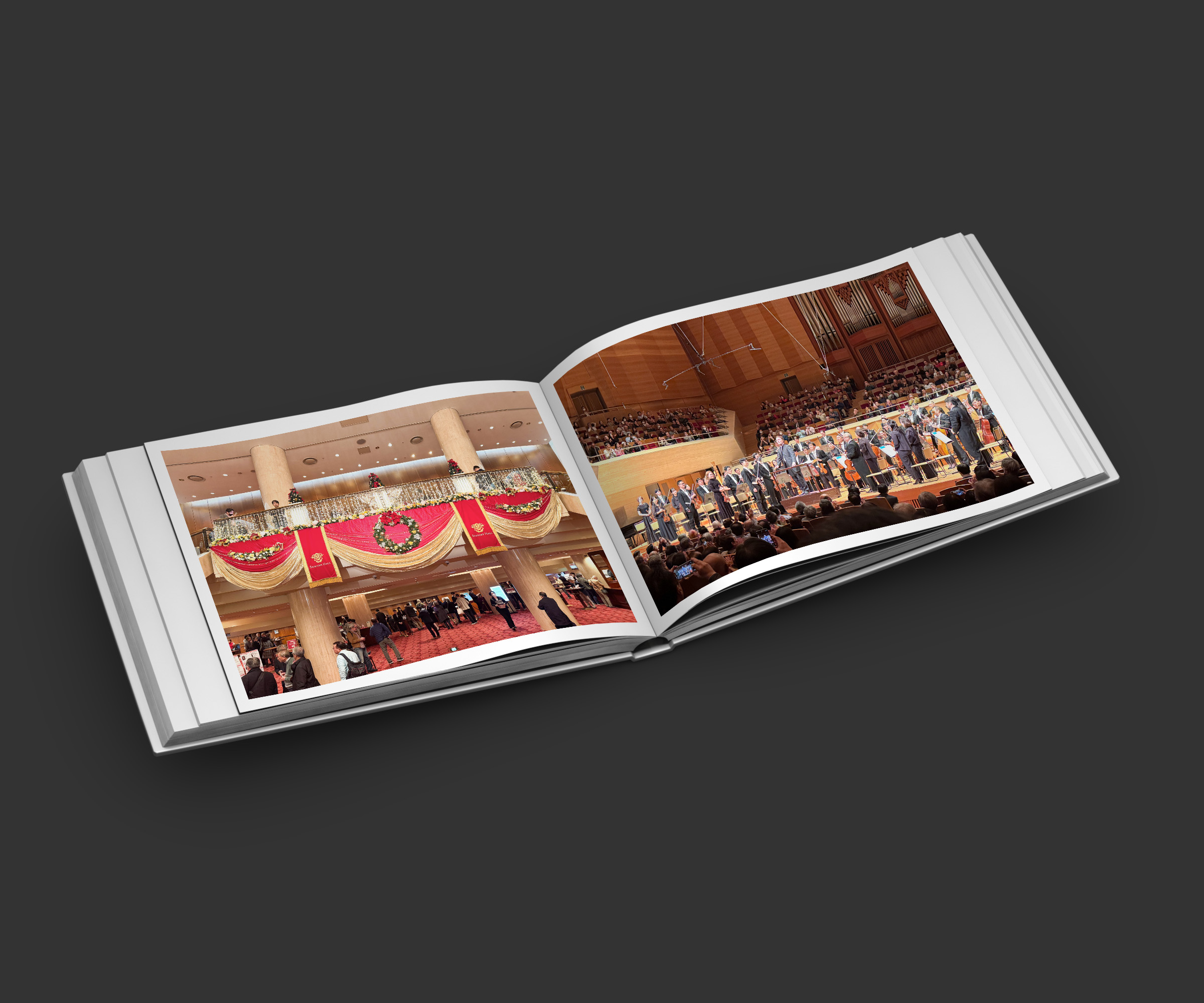 読響20251127　アイキャッチ画像